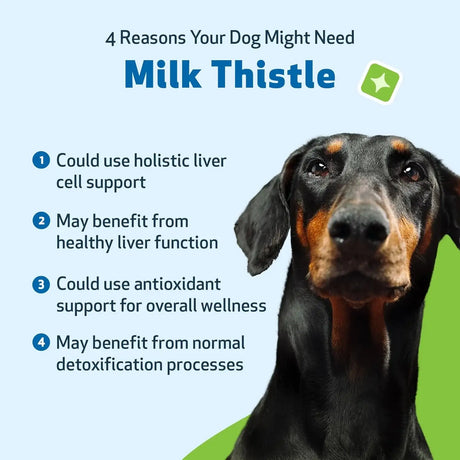 PET WELLBEING - Pet Wellbeing Milk Thistle for Dogs 4 Fl.Oz. - The Red Vitamin MX - Medicamentos Sin Receta Para Perros - {{ shop.shopifyCountryName }}