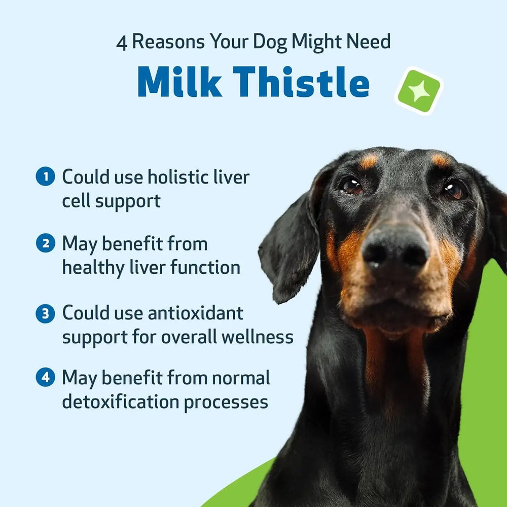 PET WELLBEING - Pet Wellbeing Milk Thistle for Dogs 4 Fl.Oz. - The Red Vitamin MX - Medicamentos Sin Receta Para Perros - {{ shop.shopifyCountryName }}