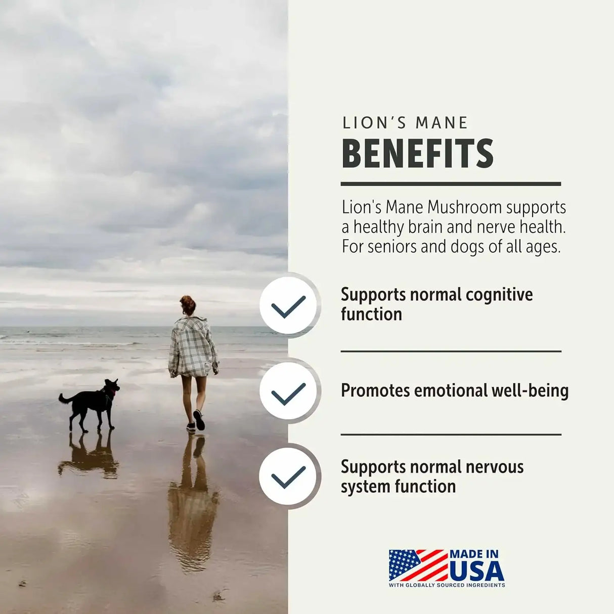 FOUR LEAF ROVER - FOUR LEAF ROVER Lion's Mane Mushrooms for Dogs 35Gr. - The Red Vitamin MX - Suplementos Herbales Para Perros - {{ shop.shopifyCountryName }}