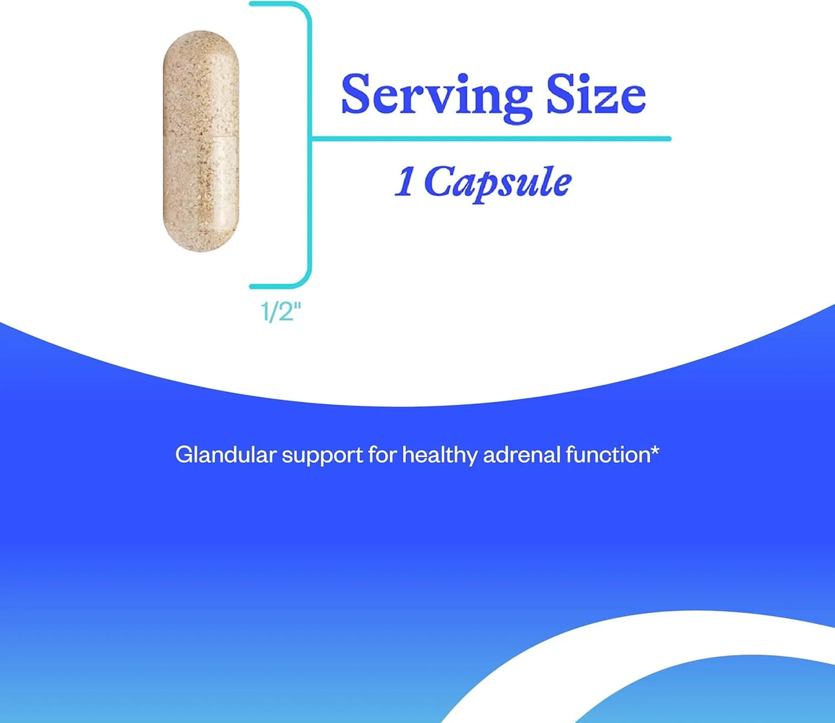 SEEKING HEALTH - Seeking Health Adrenal Cortex 60 Capsulas - The Red Vitamin MX - Suplementos Alimenticios - {{ shop.shopifyCountryName }}