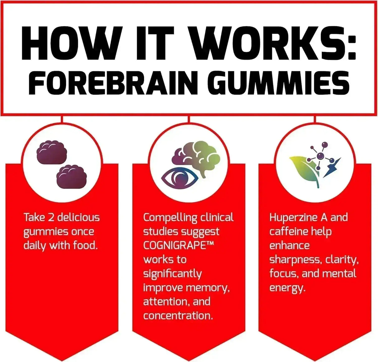FORCE FACTOR - Force Factor Forebrain Gummies Nootropic Brain Support 60 Gomitas 2 Pack - The Red Vitamin MX - Suplementos Alimenticios - {{ shop.shopifyCountryName }}