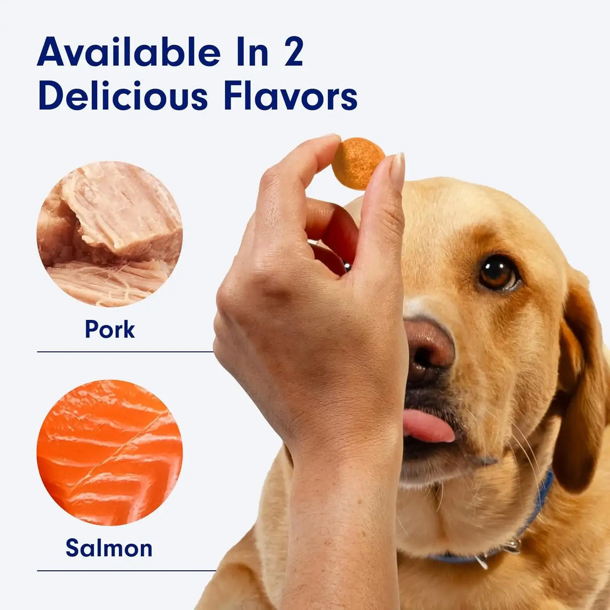 PETLAB CO. - PetLab Co. Salmon Itch Relief Chew Pro for Dogs 30 Masticables - The Red Vitamin MX - Remedios Para La Picazón De Perros - {{ shop.shopifyCountryName }}