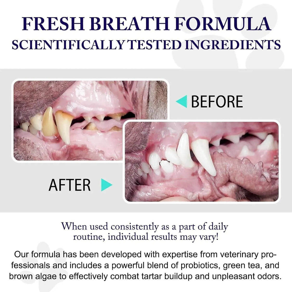 KZUO - Kzuo Dog Teeth Cleaning Powder 100Gr. - The Red Vitamin MX - Cuidado Dental Para Perros - {{ shop.shopifyCountryName }}