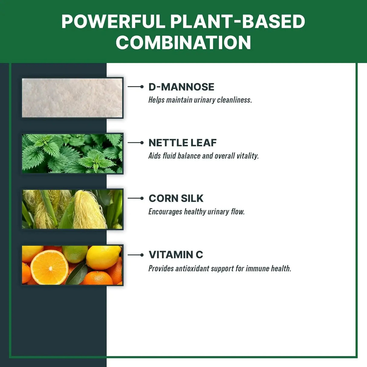 MAXBYDDY - MaxBuddy Natural UTI Treatment Support 2 Fl.Oz. - The Red Vitamin MX - Salud De Tracto Urinario Para Perros - {{ shop.shopifyCountryName }}