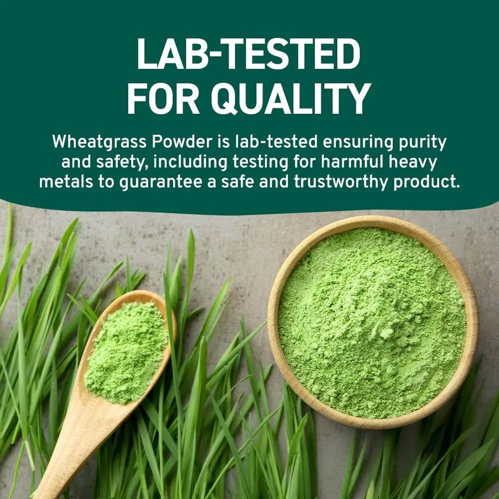 HANDPICK - HANDPICK USDA Organic Wheatgrass Powder 283Gr. - The Red Vitamin MX - Suplementos Alimenticios - {{ shop.shopifyCountryName }}