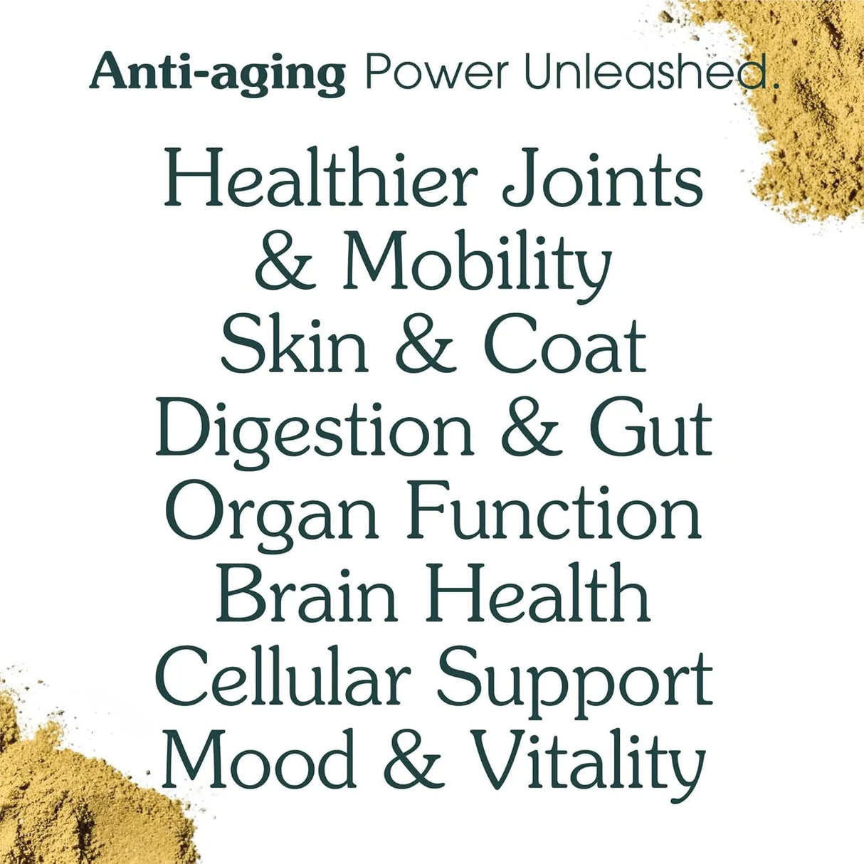 ARTERRA - Arterra Longevity Multivitamin for Adult Dogs 30 Servicios 147Gr. - The Red Vitamin MX - Multivitamínicos Para Perros - {{ shop.shopifyCountryName }}