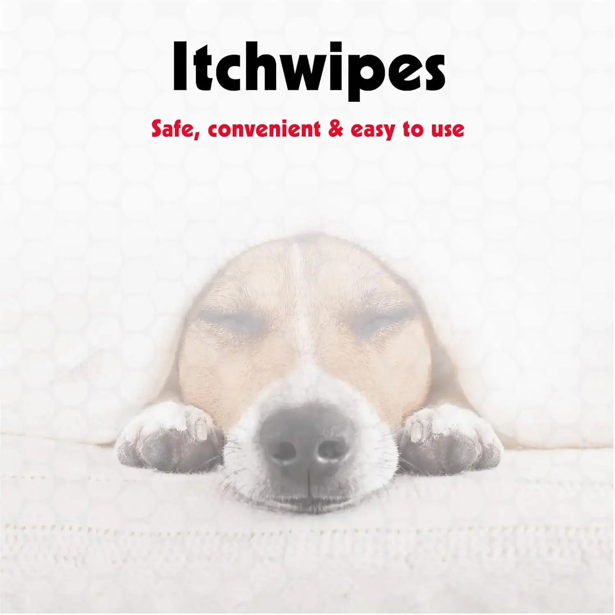 PETKIN - Petkin Anti Itch Wipes for Dogs and Cats 30 Toallitas 2 Pack - The Red Vitamin MX - Remedios Para La Picazón De Perros - {{ shop.shopifyCountryName }}