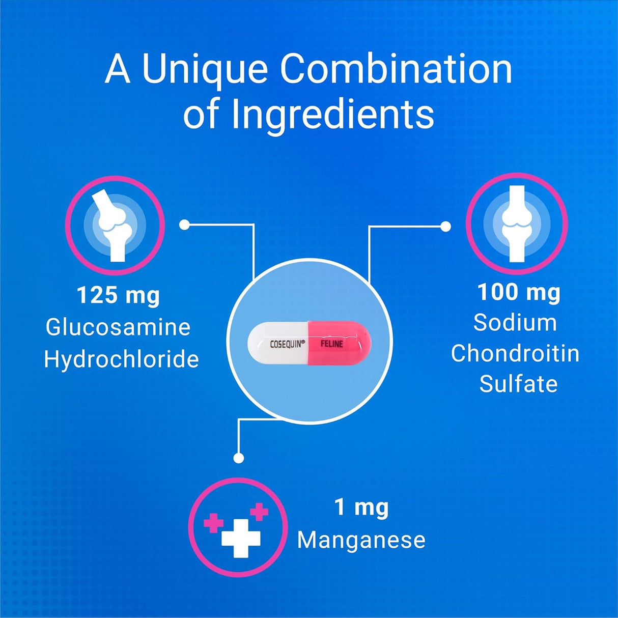 Nutramax Cosequin 80 Sprinkle Capsules for Cats 80 Capsulas