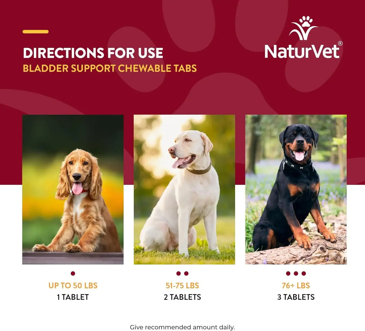 NATURVET - NaturVet Bladder Support for Dogs 60 Tabletas Masticables - The Red Vitamin MX - Salud De Tracto Urinario Para Perros - {{ shop.shopifyCountryName }}