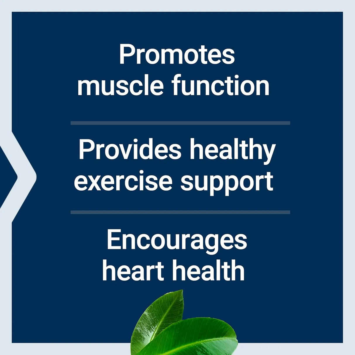 LIFE EXTENSION - Life Extension Super Carnosine 500Mg. 60 Capsulas - The Red Vitamin MX - Suplementos Alimenticios - {{ shop.shopifyCountryName }}