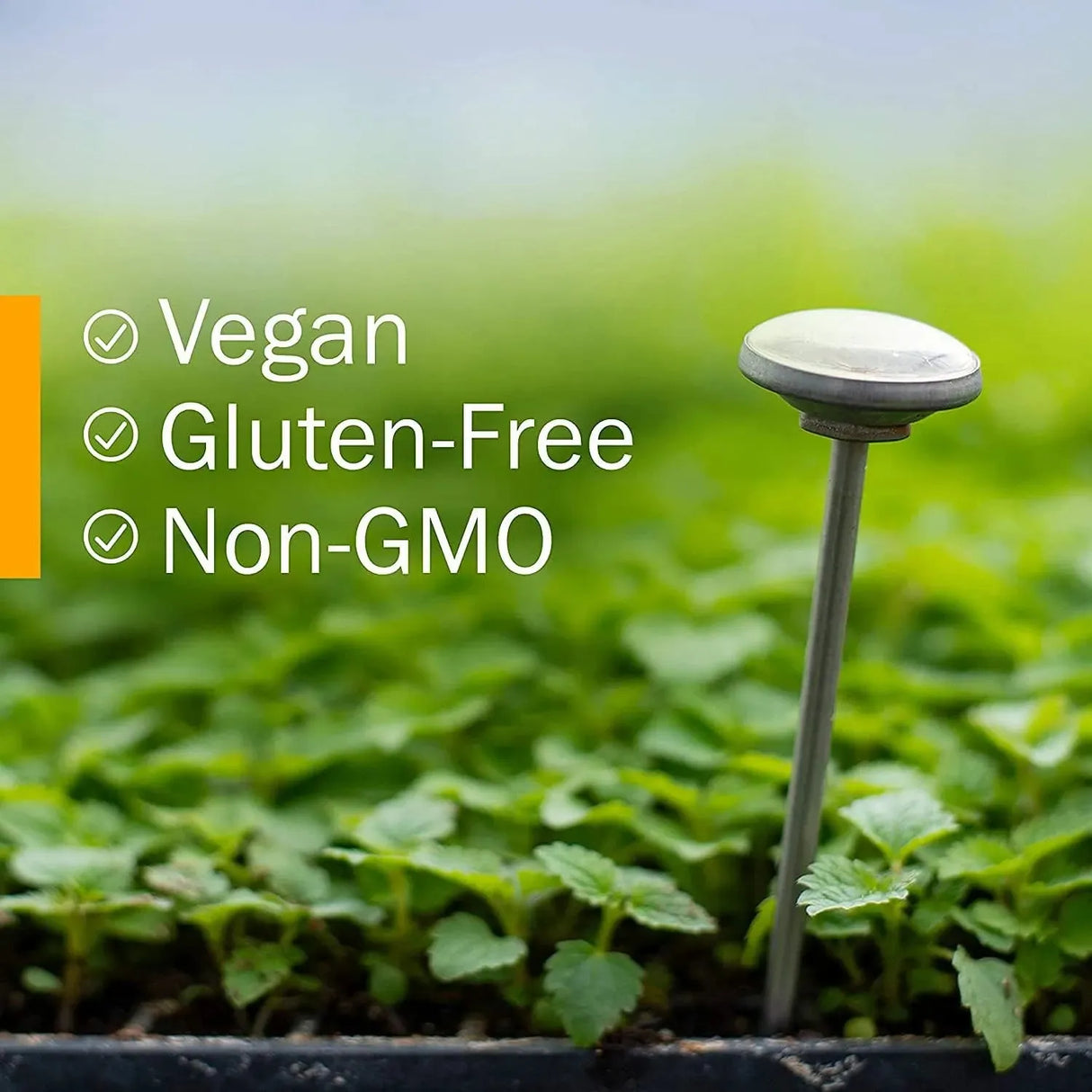 HERB PHARM - Herb Pharm Certified Organic Golden Echinacea Liquid Extract 1 Fl.Oz. - The Red Vitamin MX - Suplementos Alimenticios - {{ shop.shopifyCountryName }}