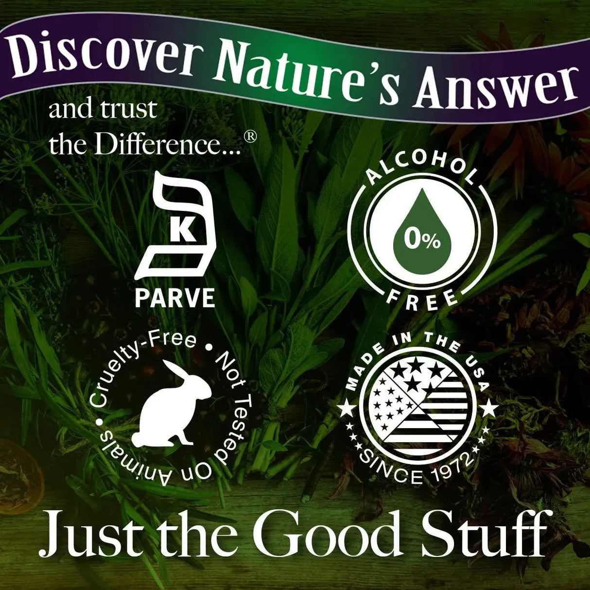 NATURE´S ANSWER - Nature's Answer Alcohol-Free Cornsilk 2000Mg. 1 Fl.Oz. - The Red Vitamin MX - Suplementos Alimenticios - {{ shop.shopifyCountryName }}