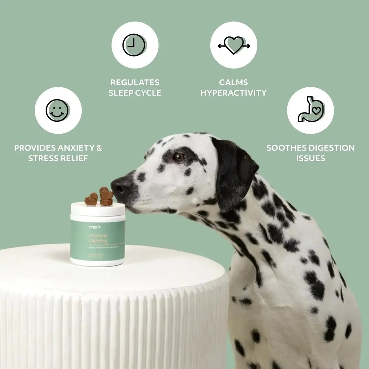 REGGIE - Reggie Anytime Calming Chews for Dogs 60 Masticables - The Red Vitamin MX - Relajantes Para Perros - {{ shop.shopifyCountryName }}