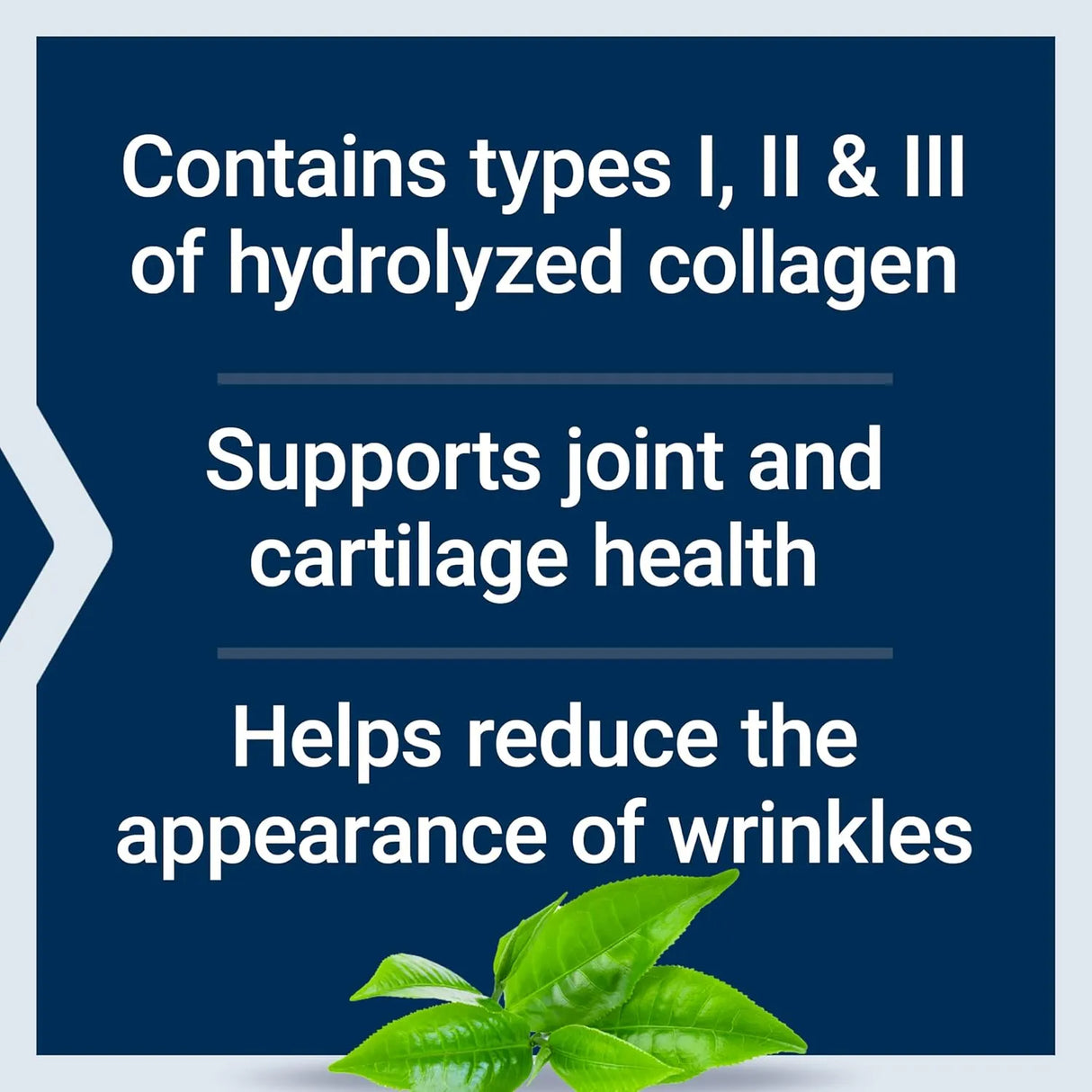 LIFE EXTENSION - Life Extension Collagen Peptides for Skin & Joints 343Gr. - The Red Vitamin MX - Suplementos Alimenticios - {{ shop.shopifyCountryName }}