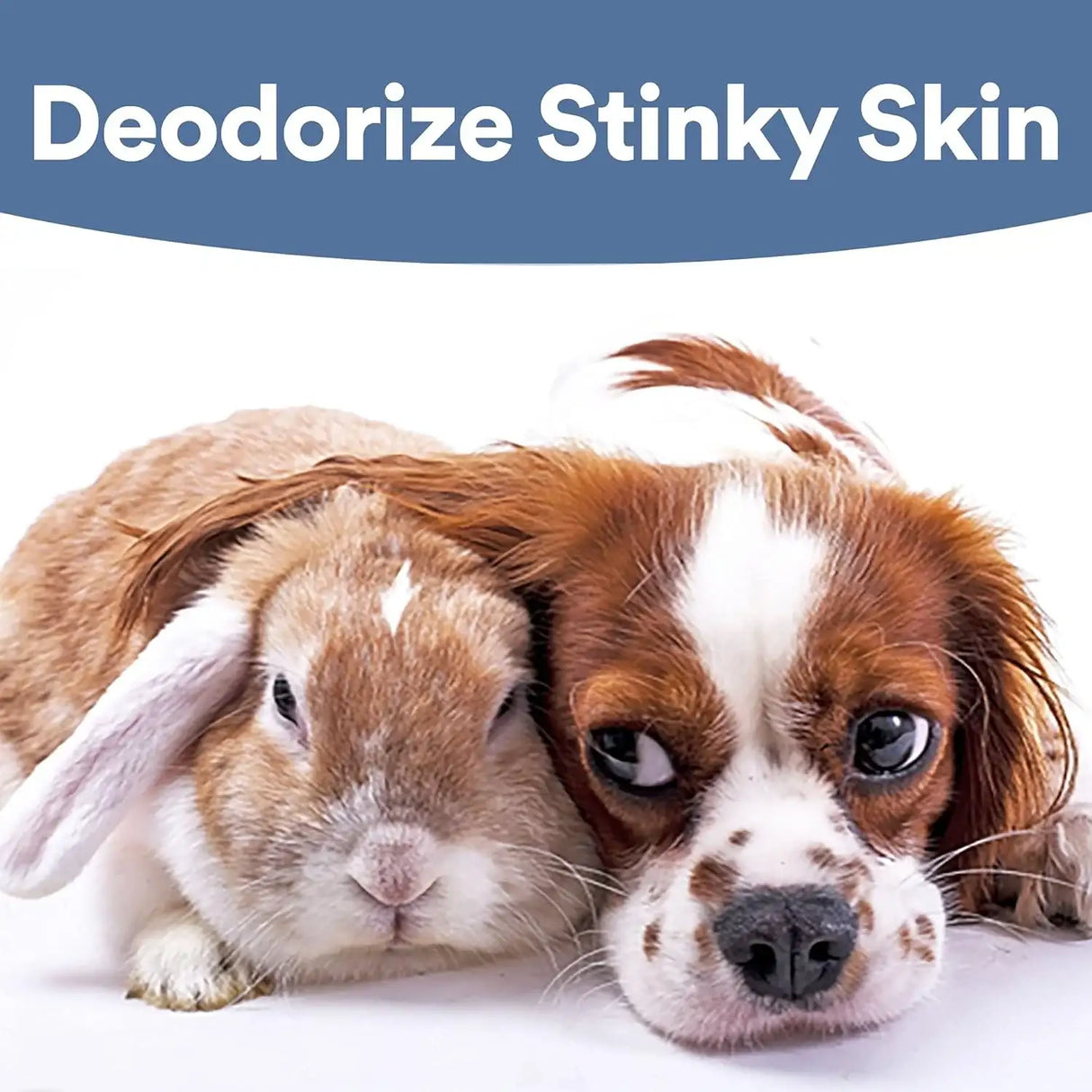 SKINSMART - SkinSmart Antimicrobial Wound Care for Pets 8 Fl.Oz. - The Red Vitamin MX - Remedios Para La Picazón De Perros - {{ shop.shopifyCountryName }}