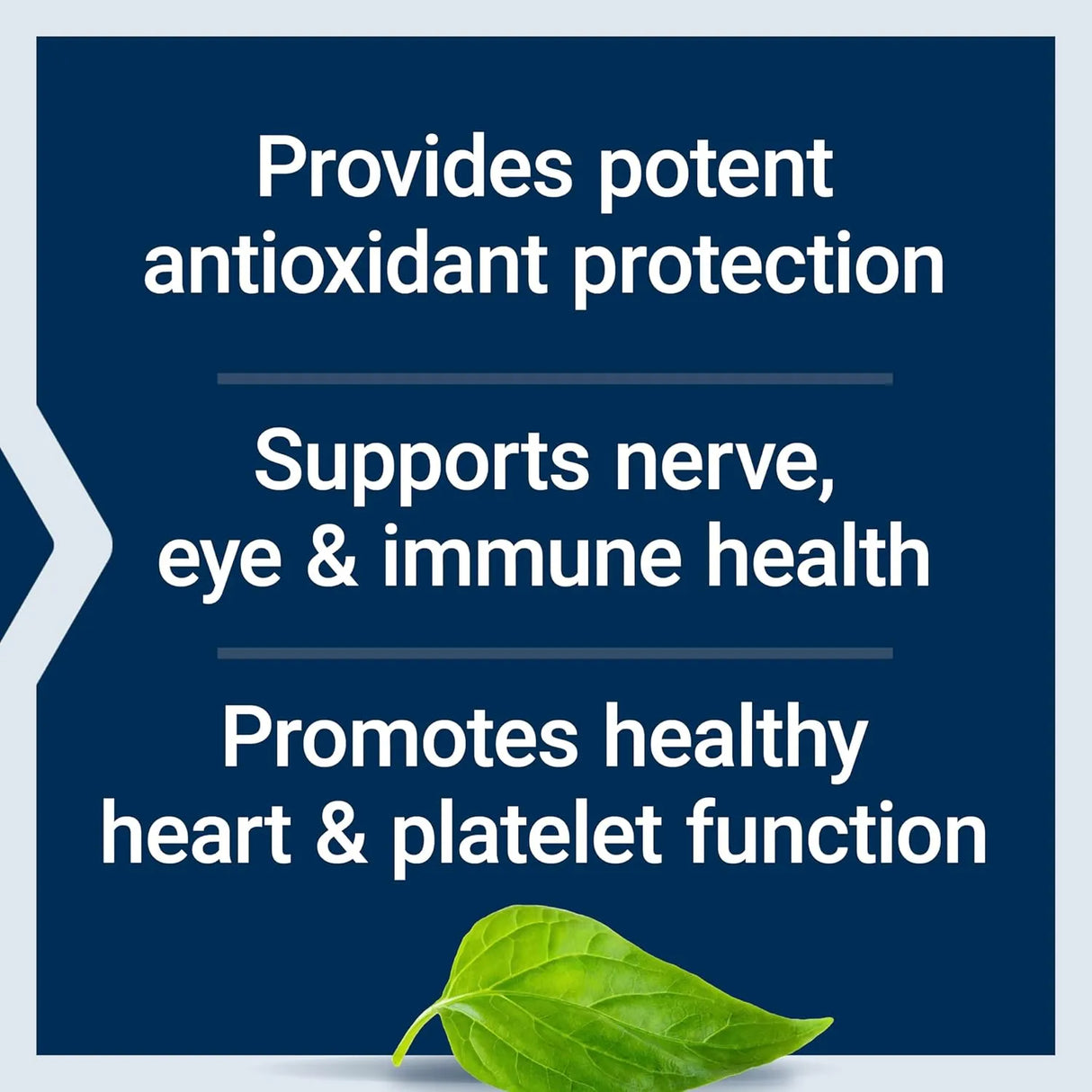 LIFE EXTENSION - Life Extension Gamma E Mixed Tocopherols & Tocotrienols 60 Capsulas Blandas - The Red Vitamin MX - Suplementos Alimenticios - {{ shop.shopifyCountryName }}