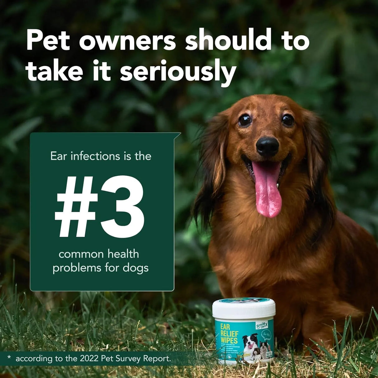 SMILEDENX - SmileDenX Dog Ear Cleaner Wipes Unscented 50 Toallitas - The Red Vitamin MX - Cuidado Del Oído De Perros - {{ shop.shopifyCountryName }}