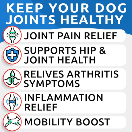 BARK&SPARK - BARK&SPARK Liquid Collagen + Glucosamine for Dogs 16 Fl.Oz. - The Red Vitamin MX - Cuidado De Cadera Y Articulaciones Para Perros - {{ shop.shopifyCountryName }}
