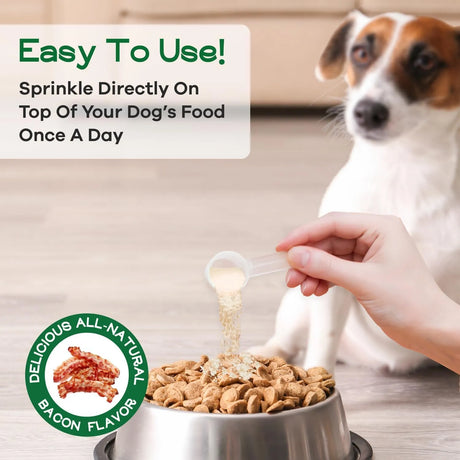 TRUECANINE - TrueCanine Wild Belly Dog Gut Health Probiotics 30 Servicios 60Gr. 3 Pack - The Red Vitamin MX - Probióticos Para Perros - {{ shop.shopifyCountryName }}