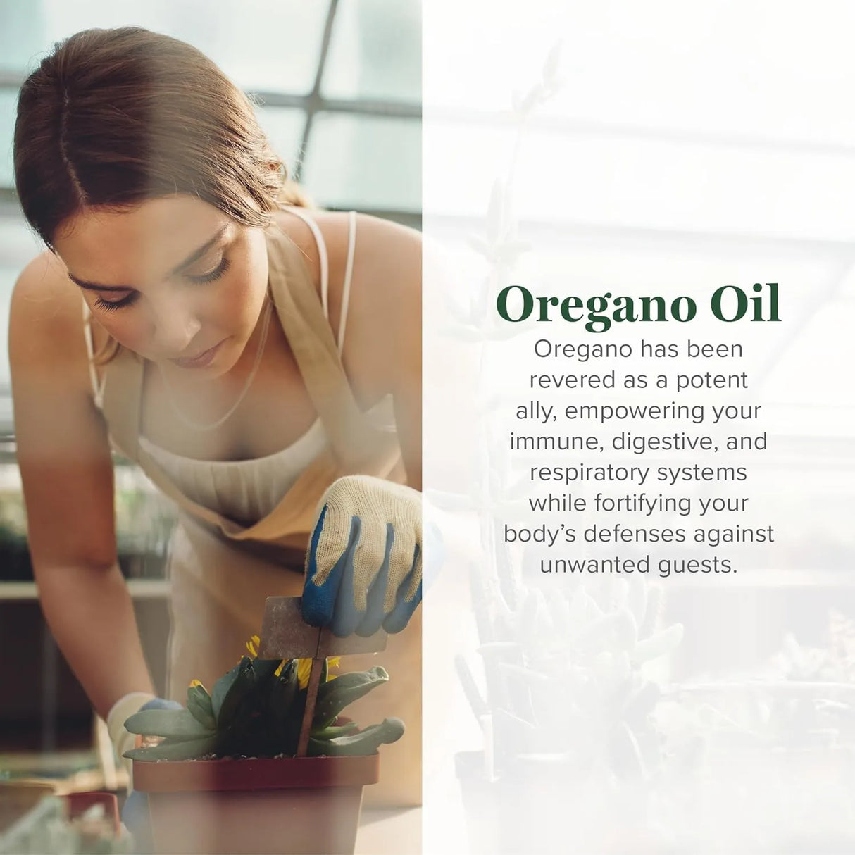 GLOBAL HEALING CENTER - Global Healing Oregano Oil 60 Capsulas - The Red Vitamin MX - Suplementos Alimenticios - {{ shop.shopifyCountryName }}