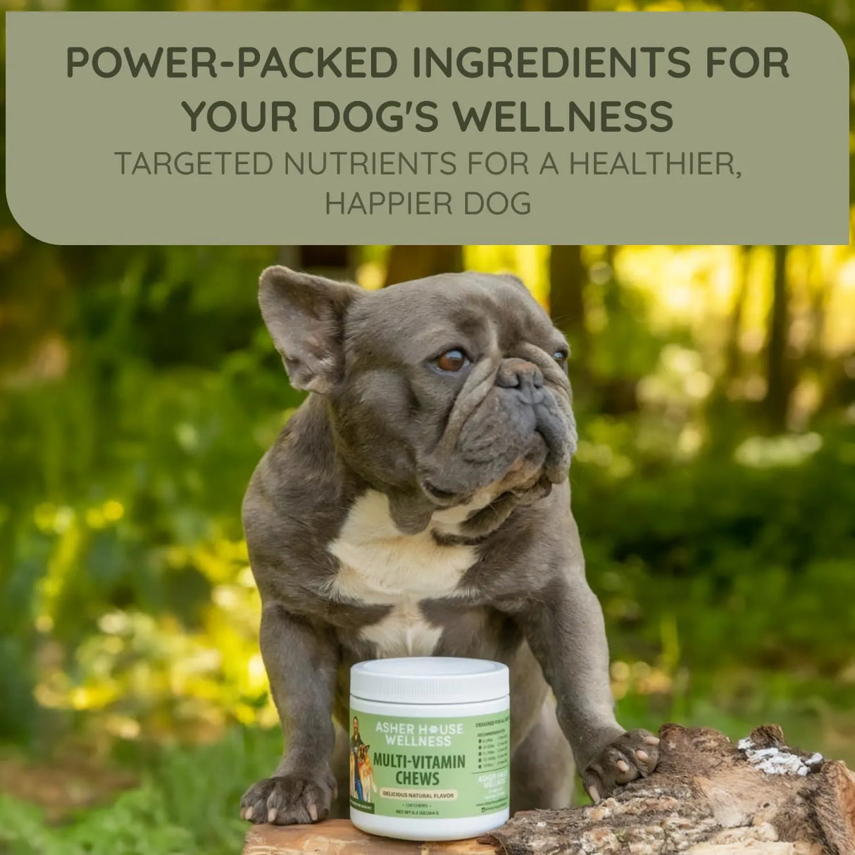ASHER HOUSE WELLNESS - ASHER HOUSE WELLNESS Dog Multivitamin Chews 120 Masticables - The Red Vitamin MX - Multivitamínicos Para Perros - {{ shop.shopifyCountryName }}