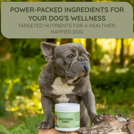ASHER HOUSE WELLNESS - ASHER HOUSE WELLNESS Dog Multivitamin Chews 120 Masticables - The Red Vitamin MX - Multivitamínicos Para Perros - {{ shop.shopifyCountryName }}
