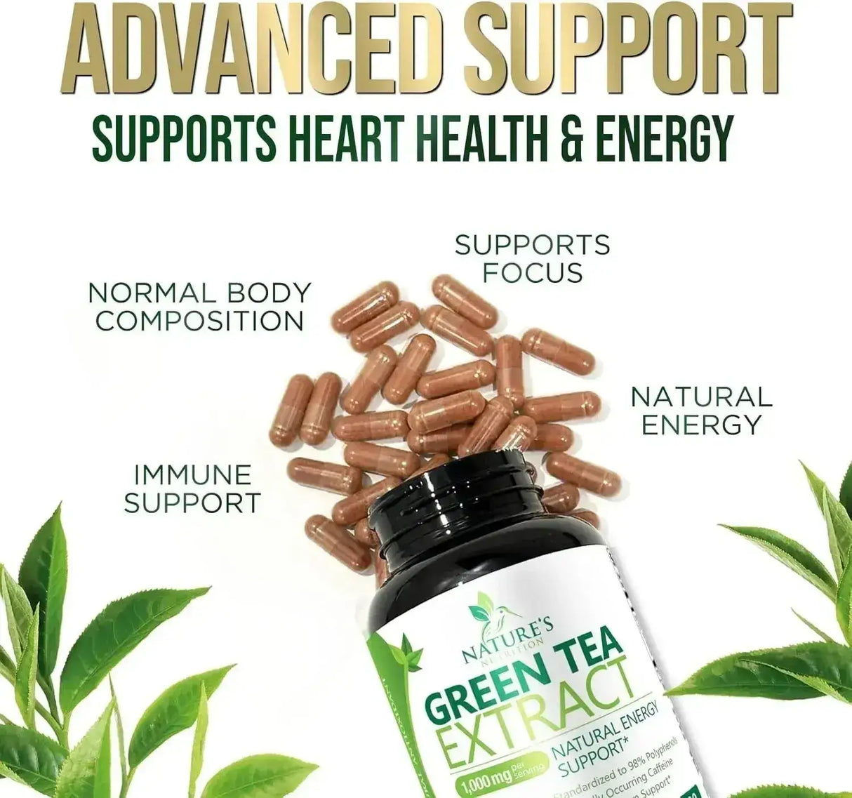 NATURE'S NUTRITION - Nature's Nutrition Green Tea Extract 1000Mg. 120 Capsulas - The Red Vitamin MX - Suplementos Alimenticios - {{ shop.shopifyCountryName }}