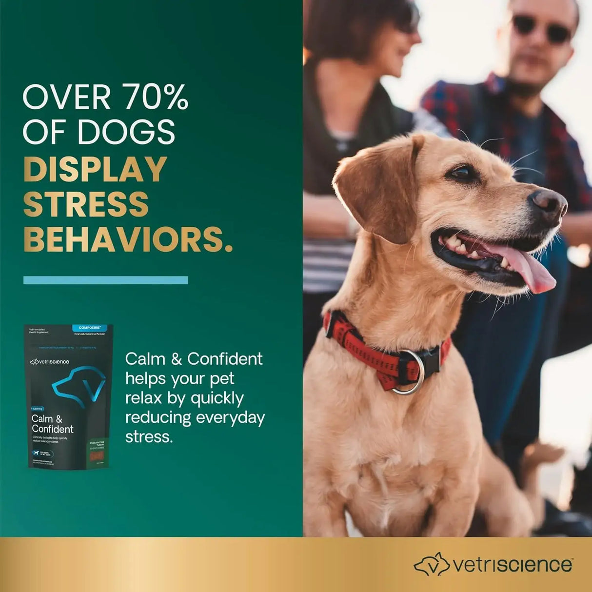 VETRISCIENCE - VetriScience Long Lasting Calm & Confident Calming Chews Peanut Butter 60 Masticables - The Red Vitamin MX - Relajantes Para Perros - {{ shop.shopifyCountryName }}