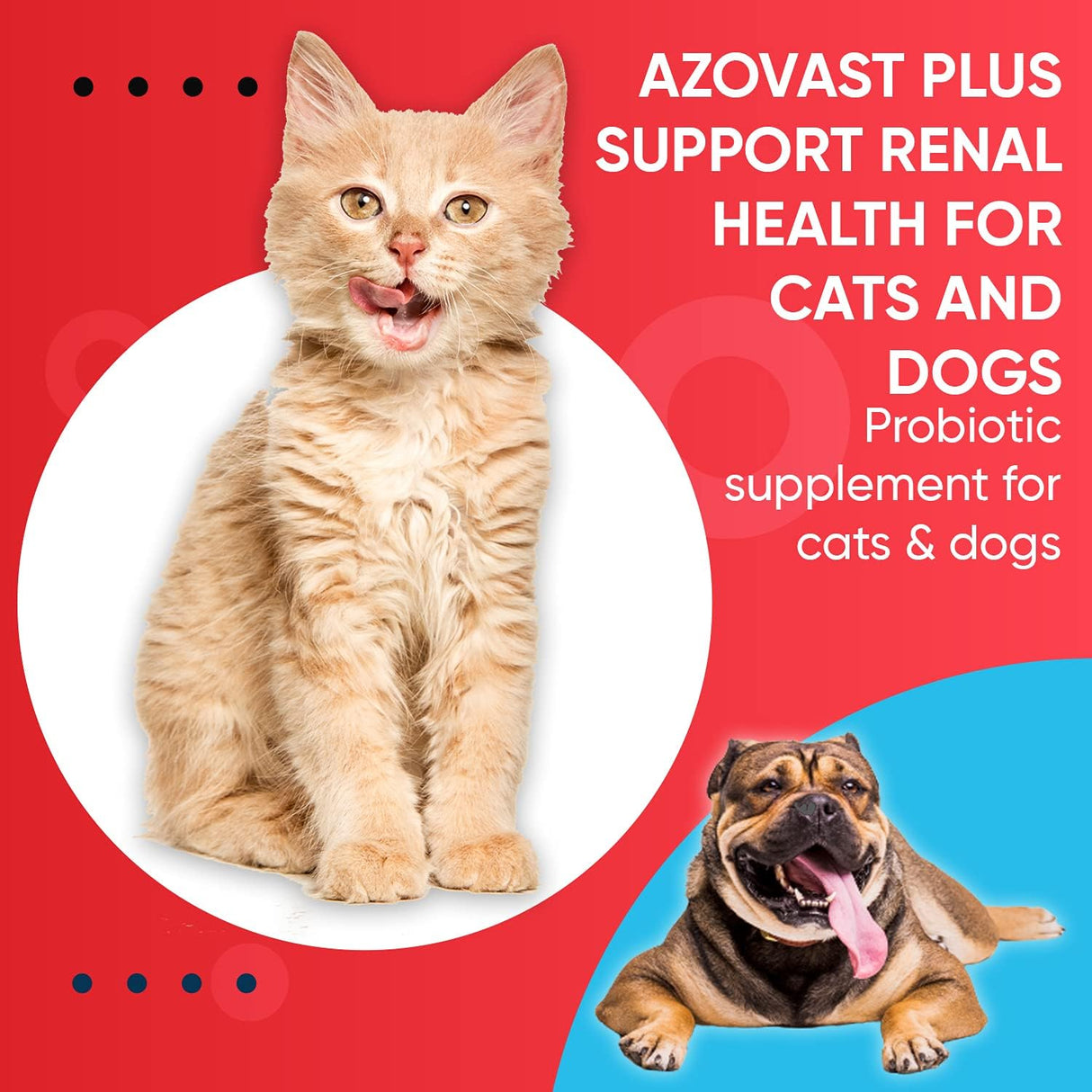 Doggy Naturals Azovast Plus Kidney Health Supplement for Dogs & Cats Oral Paste 60cc