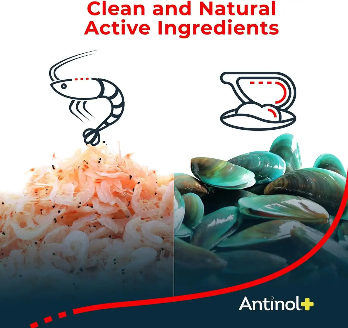 ANTINOL - Antinol Plus Mobility Hip and Joint Supplement for Dogs 90 Capsulas Blandas - The Red Vitamin MX - Cuidado De Cadera Y Articulaciones Para Perros - {{ shop.shopifyCountryName }}