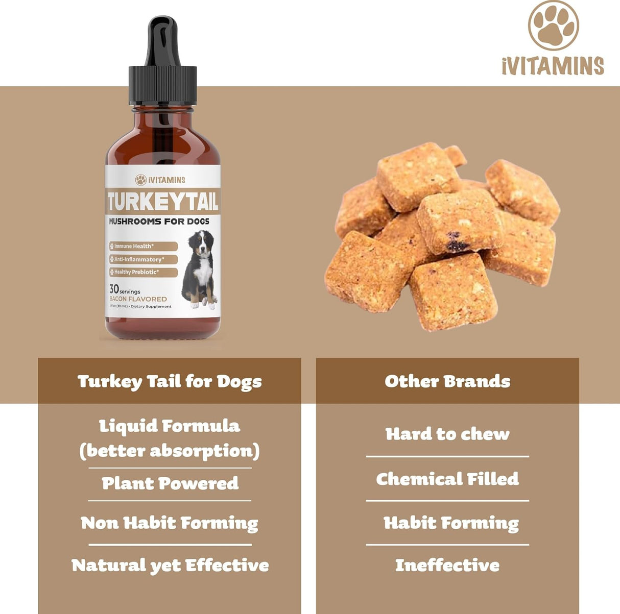IVITAMINS - iVitamins Turkey Tail Mushroom for Dogs 1 Fl.Oz. - The Red Vitamin MX - Suplementos Herbales Para Perros - {{ shop.shopifyCountryName }}