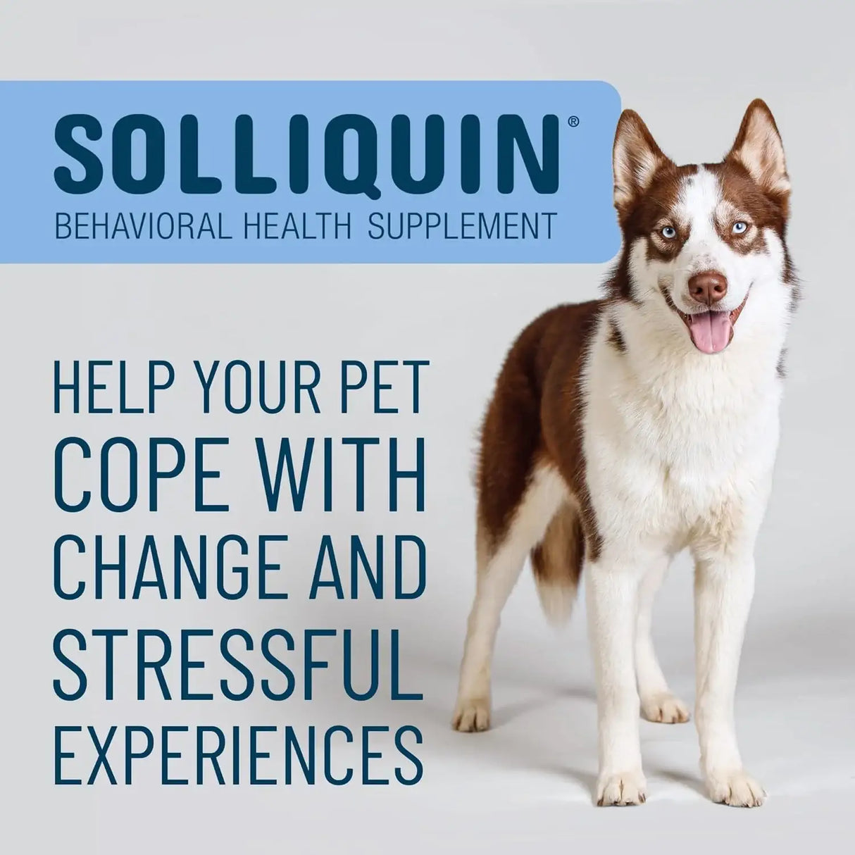 NUTRAMAX - Nutramax Solliquin Calming Behavioral Health Supplement for Large Dogs 75 Masticables - The Red Vitamin MX - Relajantes Para Perros - {{ shop.shopifyCountryName }}