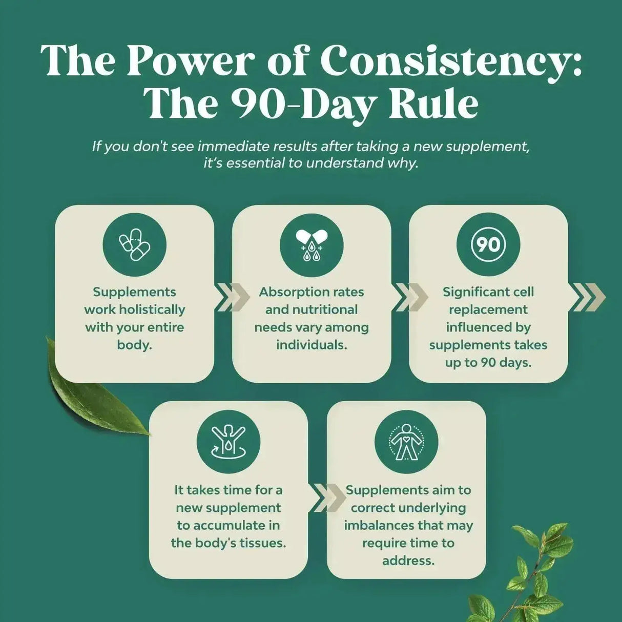 NATURES CRAFT - Natures Craft Green Coffee Bean Extract 60 Capsulas - The Red Vitamin MX - Suplementos Alimenticios - {{ shop.shopifyCountryName }}