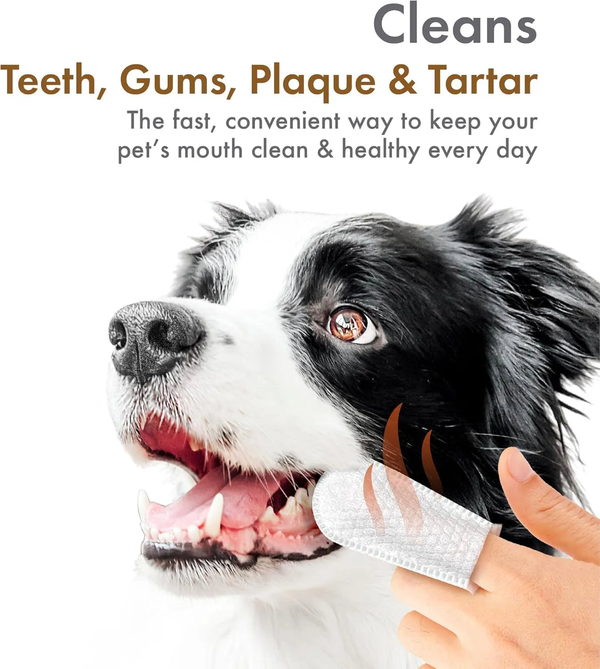 PETKIN - Petkin Fingertip Tooth Wipes for Dogs and Cats Peanut Butter 50 Toallitas - The Red Vitamin MX - Cuidado Dental Para Perros - {{ shop.shopifyCountryName }}