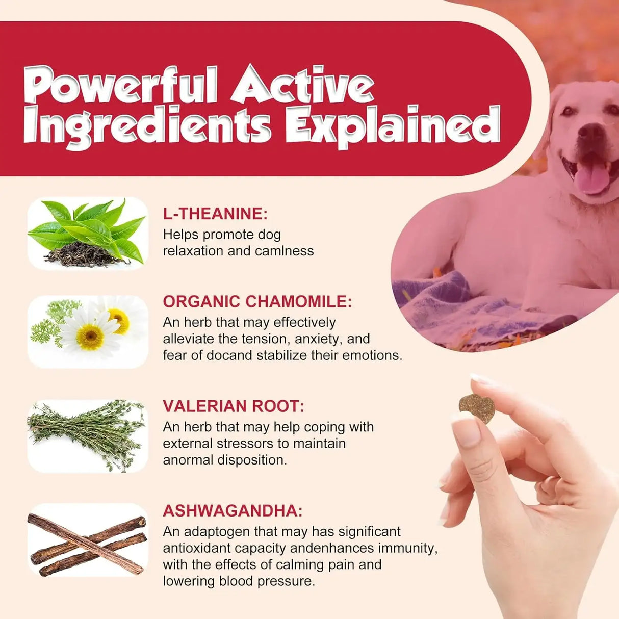 ROROCA Dog Calming Chews 180 Masticables