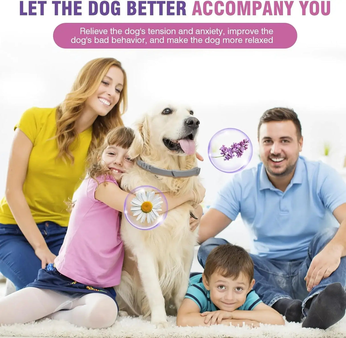 TCLLKA - Tcllka Calming Collar for Dogs 4 Pack - The Red Vitamin MX - Relajantes Para Perros - {{ shop.shopifyCountryName }}