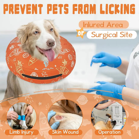 TOPTAKEIT - Toptakeit Elevated Inflatable Dog Collar ORANGE SMALL - The Red Vitamin MX - Collares y Conos De Recuperación Para Perros - {{ shop.shopifyCountryName }}