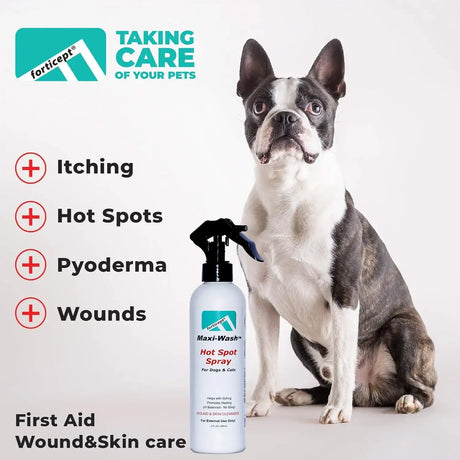 FORTICEPT - Forticept Maxi-Wash Hot Spot Spray Treatment 8 Fl.Oz. - The Red Vitamin MX - Remedios Para La Picazón De Perros - {{ shop.shopifyCountryName }}