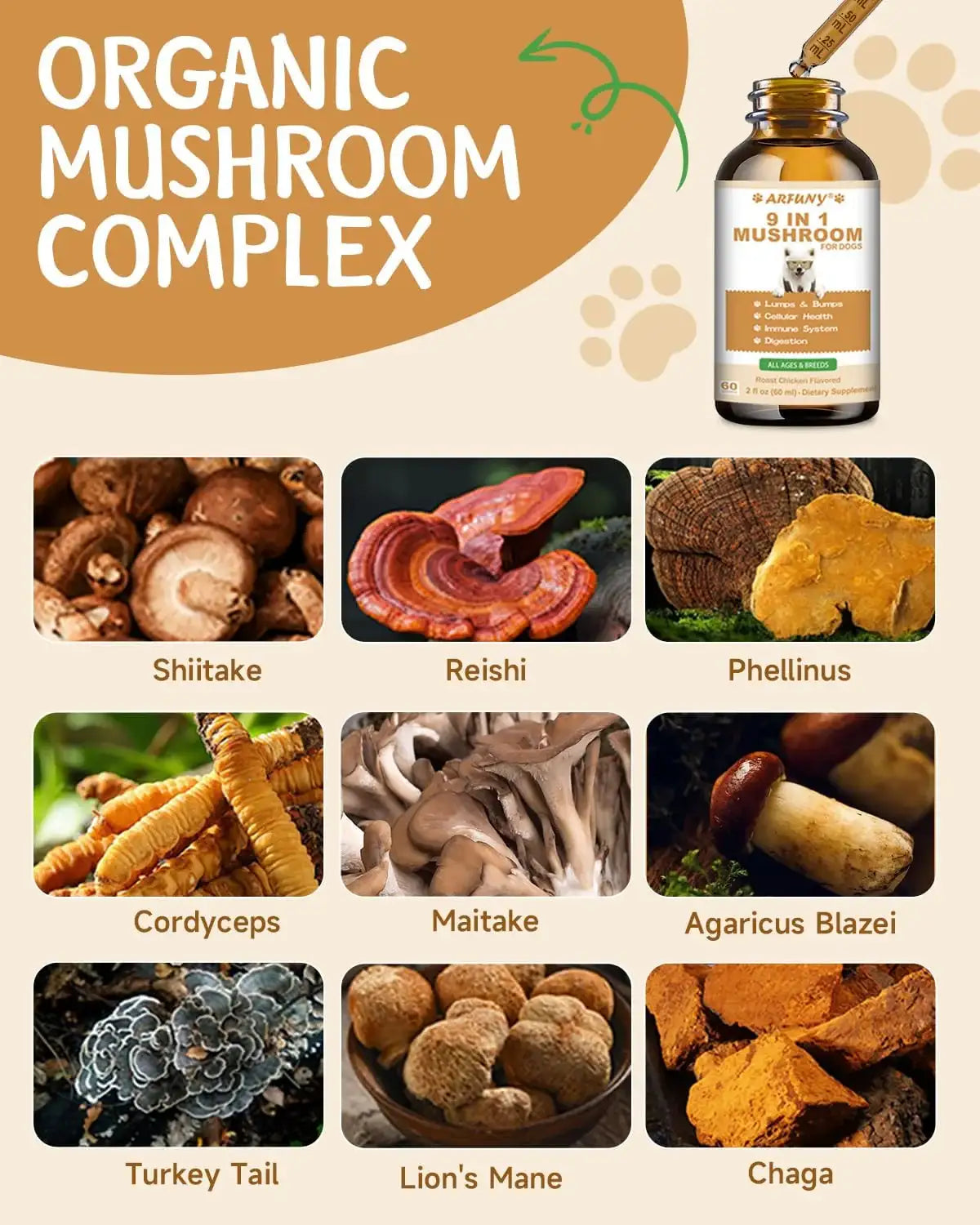 SANTKOL - SANTKOL 9 in 1 Mushroom Supplement for Dogs 60Ml. - The Red Vitamin MX - Suplementos Herbales Para Perros - {{ shop.shopifyCountryName }}