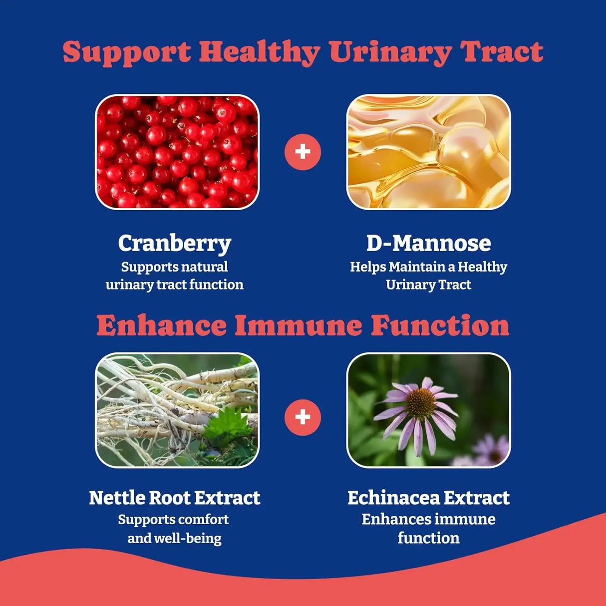 YOYOBAY - YoYoBay Urinary Tract Dog UTI Treatment 180 Masticables - The Red Vitamin MX - Salud De Tracto Urinario Para Perros - {{ shop.shopifyCountryName }}