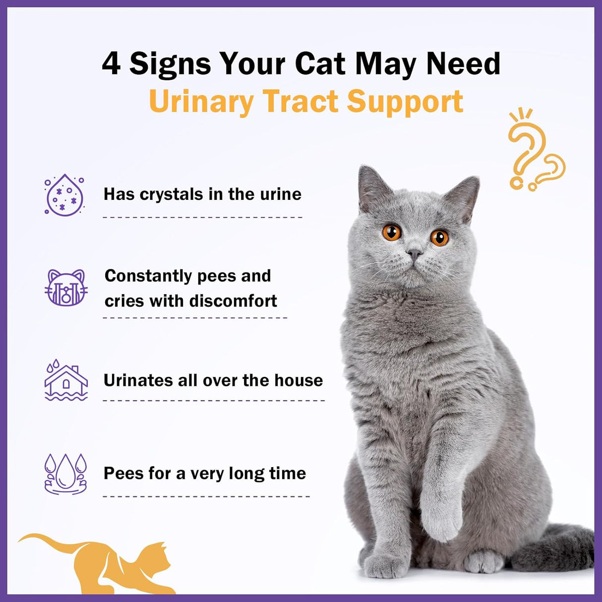 PKperekond Urinary Tract Support for Cats 2 Fl.Oz.