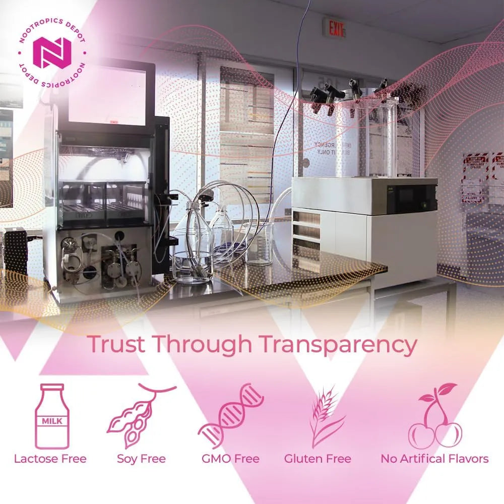 NOOTROPICS DEPOT - Nootropics Depot Berberine HCL + Silymarin 60 Capsulas - The Red Vitamin MX - Suplementos Alimenticios - {{ shop.shopifyCountryName }}