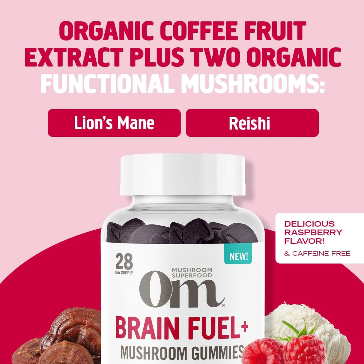 OM - OM Mushroom Superfood Brain Fuel+ Gummies 56 Gomitas - The Red Vitamin MX - Suplementos Alimenticios - {{ shop.shopifyCountryName }}
