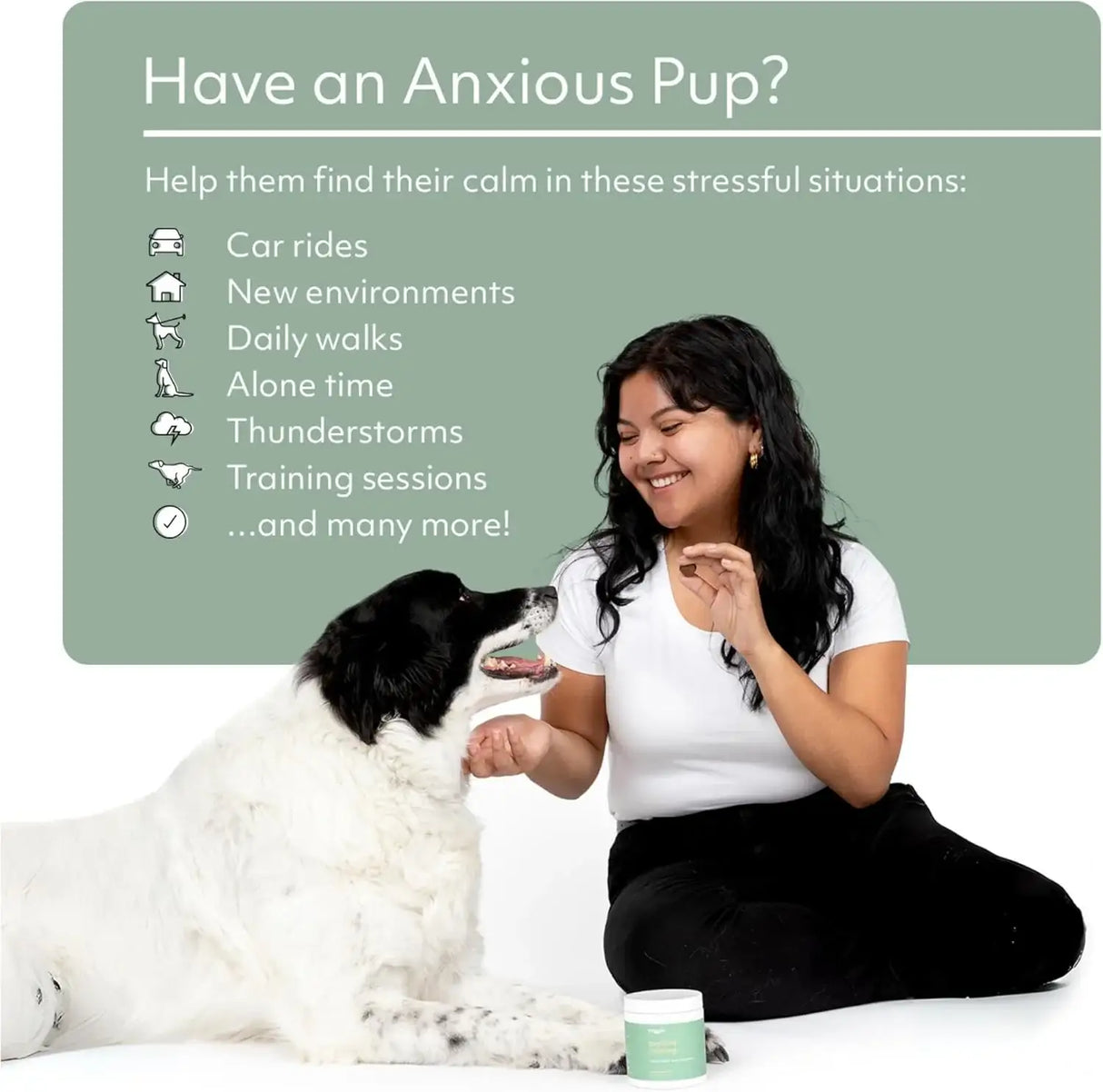 REGGIE - Reggie Anytime Calming Chews for Dogs 60 Masticables - The Red Vitamin MX - Relajantes Para Perros - {{ shop.shopifyCountryName }}