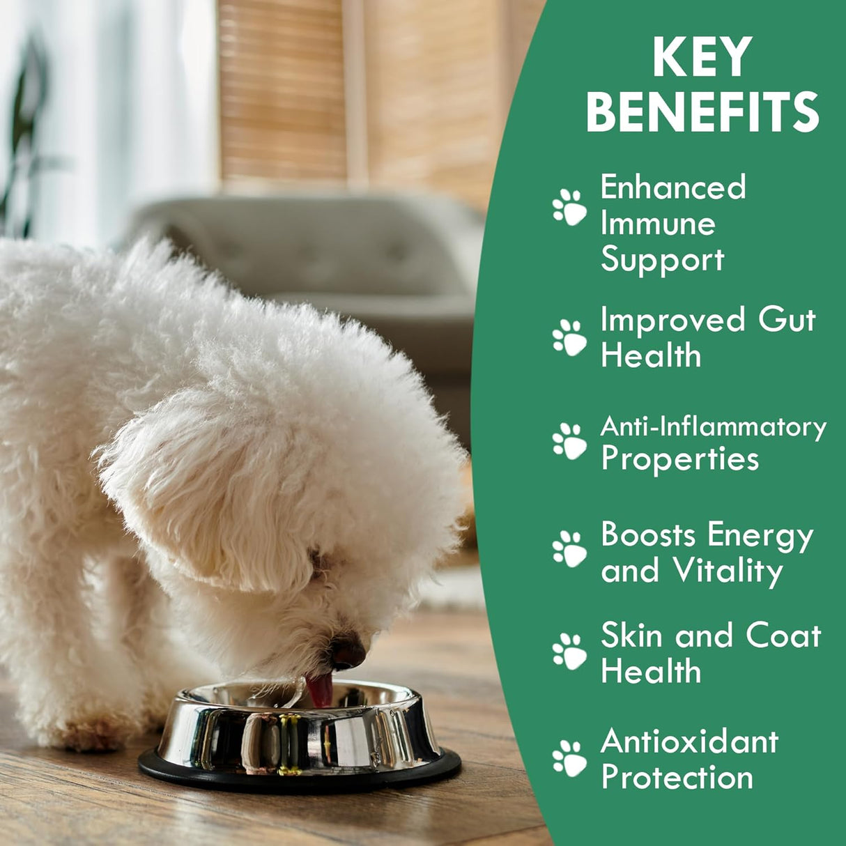 HOLISTIC BIN - HOLISTIC BIN Canine Super Immune Support 100Gr. - The Red Vitamin MX - Suplementos Herbales Para Perros - {{ shop.shopifyCountryName }}