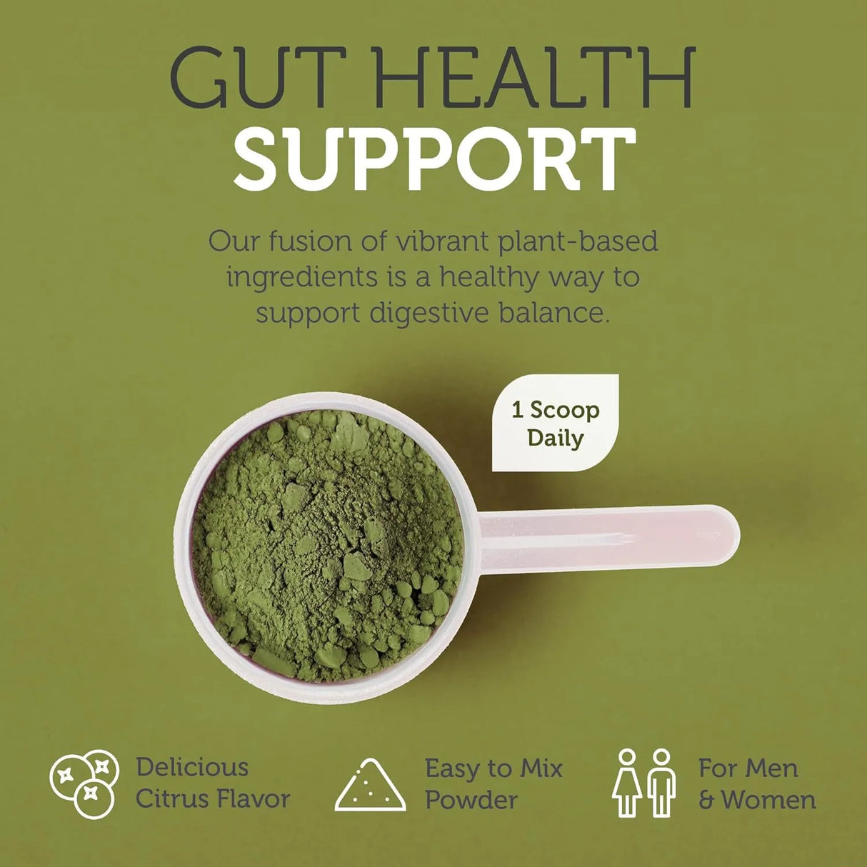 ZAHLER - Zahler Core Greens Powder 30 Servicios Citrus Flavor 360Gr. - The Red Vitamin MX - Suplementos Alimenticios - {{ shop.shopifyCountryName }}