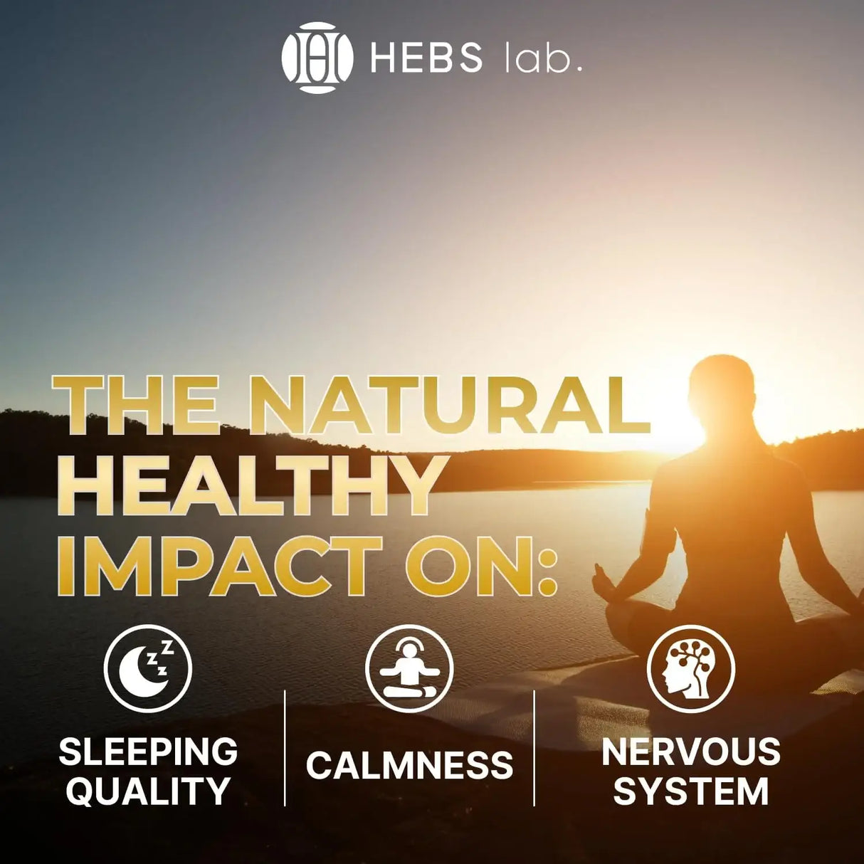 HEBS LAB - HEBS LAB. Valerian Root Extract 2 Fl.Oz. - The Red Vitamin MX - Suplementos Alimenticios - {{ shop.shopifyCountryName }}