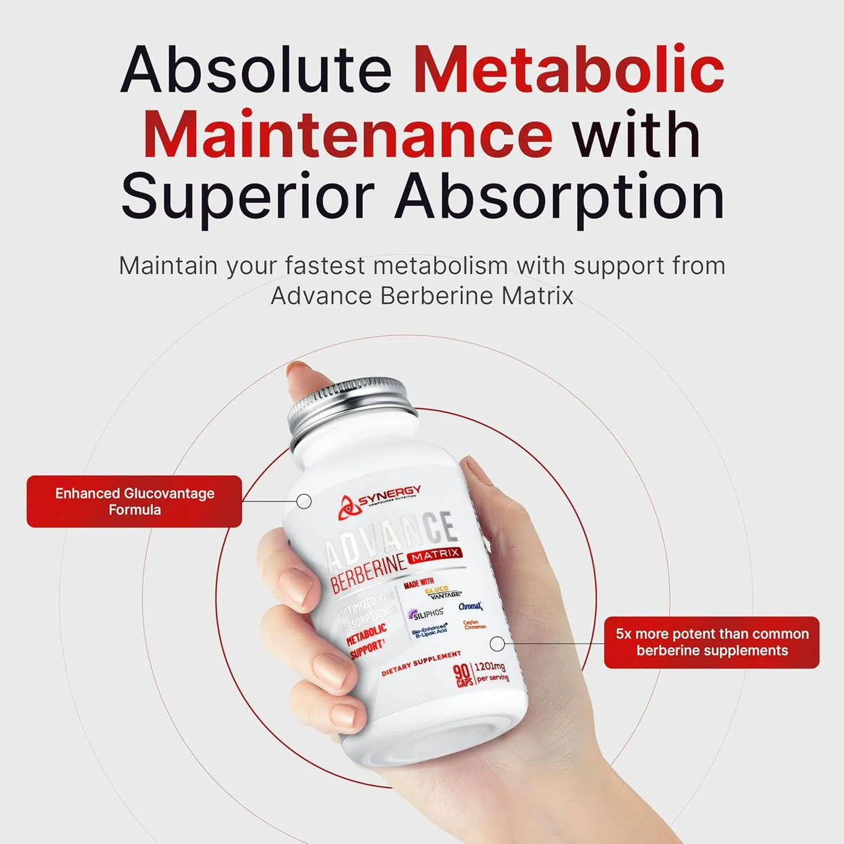 SYNERGY COMPOUNDS NUTRITION - Synergy Compounds Nutrition Advance Berberine Matrix 90 Capsulas - The Red Vitamin MX - Suplementos Alimenticios - {{ shop.shopifyCountryName }}