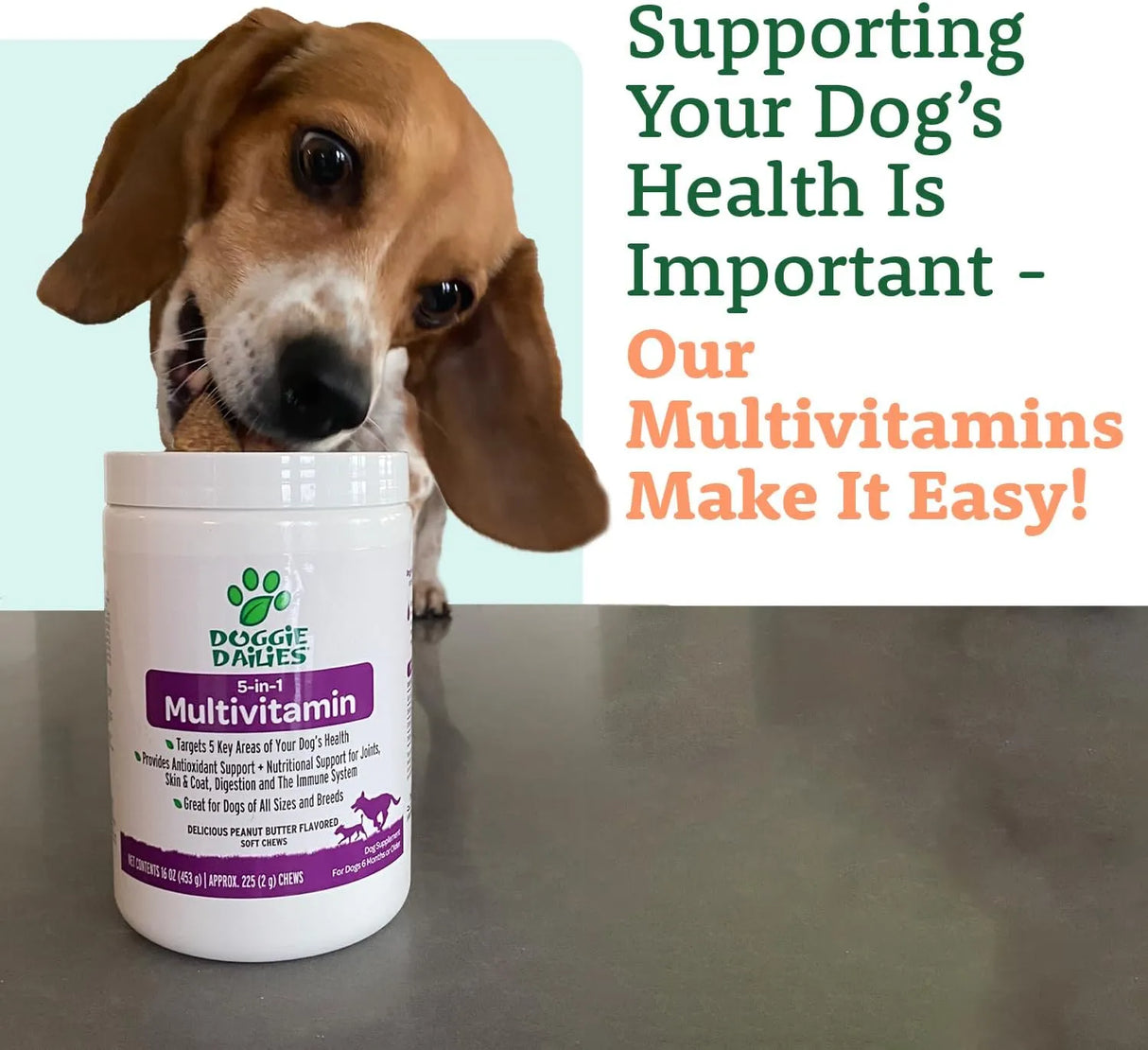DOGGIE DAILIES - Doggie Dailies 5 in 1 Multivitamin for Dogs Peanut Butter 225 Masticables - The Red Vitamin MX - Multivitamínicos Para Perros - {{ shop.shopifyCountryName }}