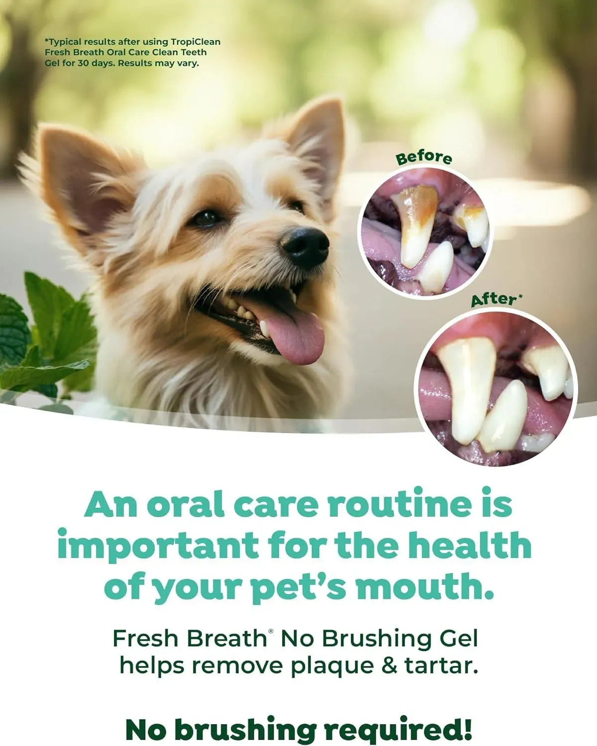 TROPICLEAN - TropiClean Clean Teeth Gel for Dogs 2 Oz. - The Red Vitamin MX - Cuidado Dental Para Perros - {{ shop.shopifyCountryName }}